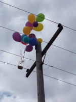 A bundle of multi-colored balloons tangled in power lines