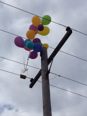 A bundle of multi-colored balloons tangled in power lines