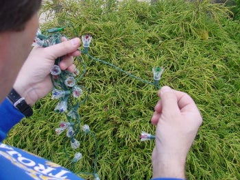 Person inspecting a strand of holiday lights