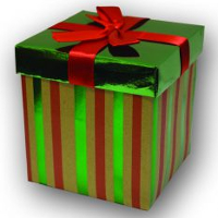 Gift-wrapped present