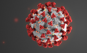 Artist conception of the COVID-19 virus
