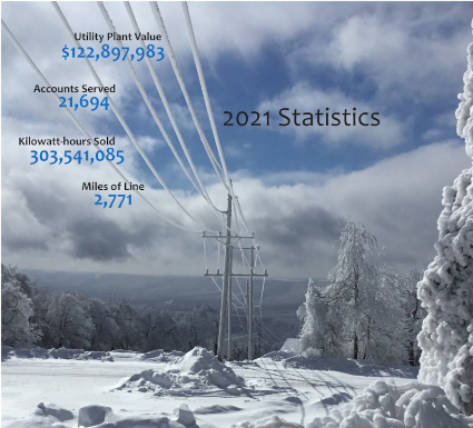 Sample image from annual report with 2021 Statistics: Utility Plant Value, $122,897,983; Accounts Served, 21,694; Kilowatt-hours Sold, 303,541,085; Miles of Line, 2,771.